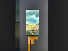 6 اینچ 1080*2160 رزولوشن LCD TFT ماژول رابط MIPI درایو IC HX8399C