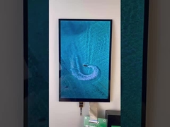 10.1 اینچ Bar Type TFT Display 1200*1920 رزولوشن رابط MIPI 1000cd/M2